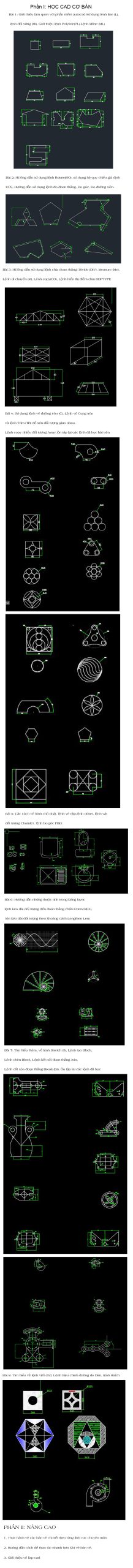 Bài tập thực hành tại Vũng Tàu